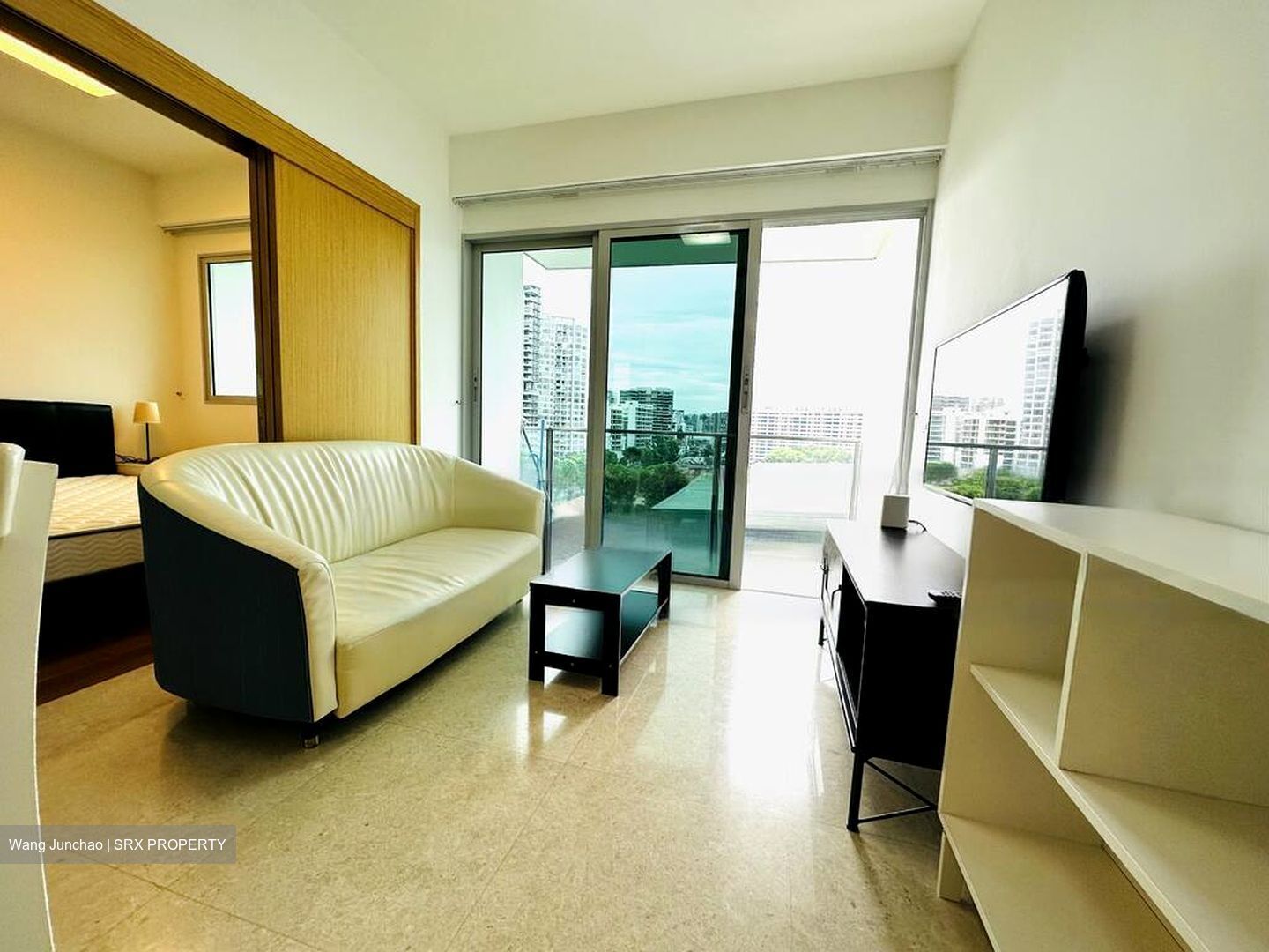 Eight Riversuites (D12), Condominium #496628651